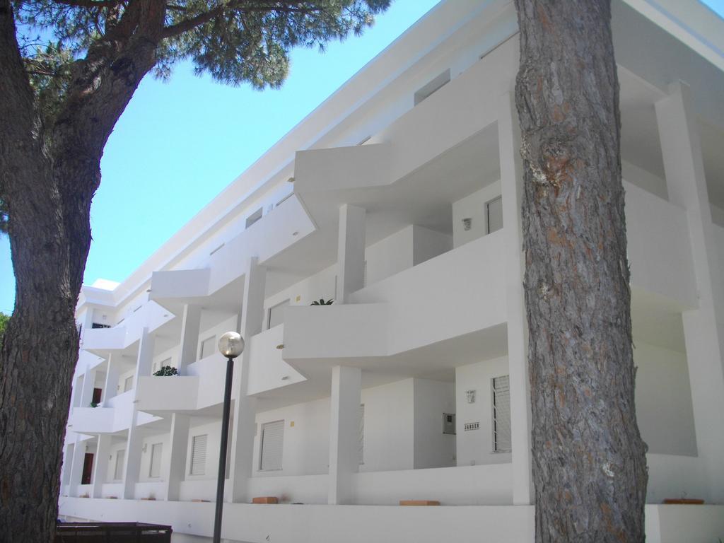 Beach Falesia Албуфейра Номер фото